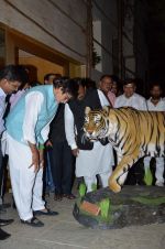 Amitabh bachchan at save the Tiger campaign in Juhu on 11th Aug 2015